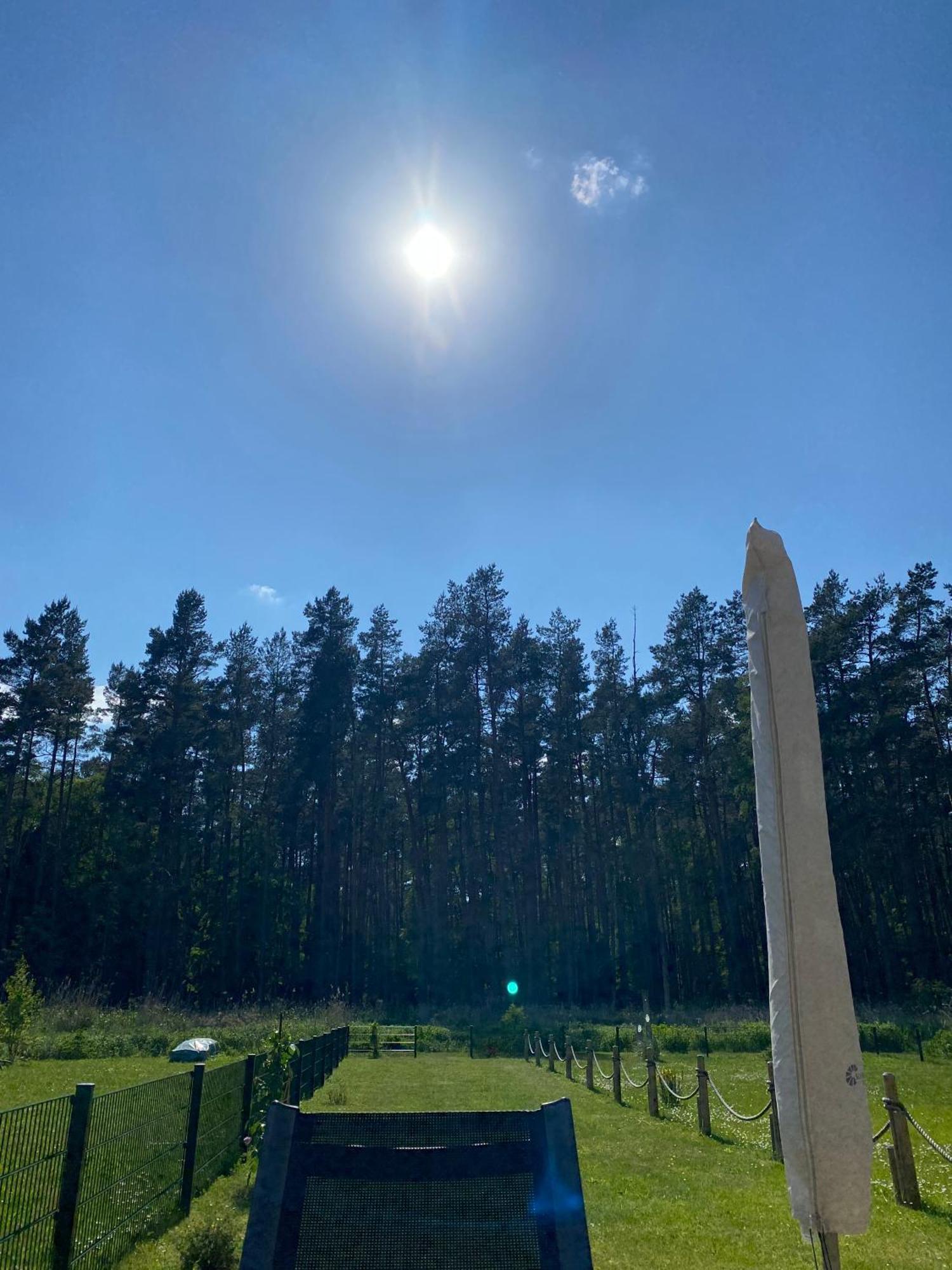 Lieblingsplatz Im Kuestenwald Graal-Mueritz Gelbensande Bagian luar foto